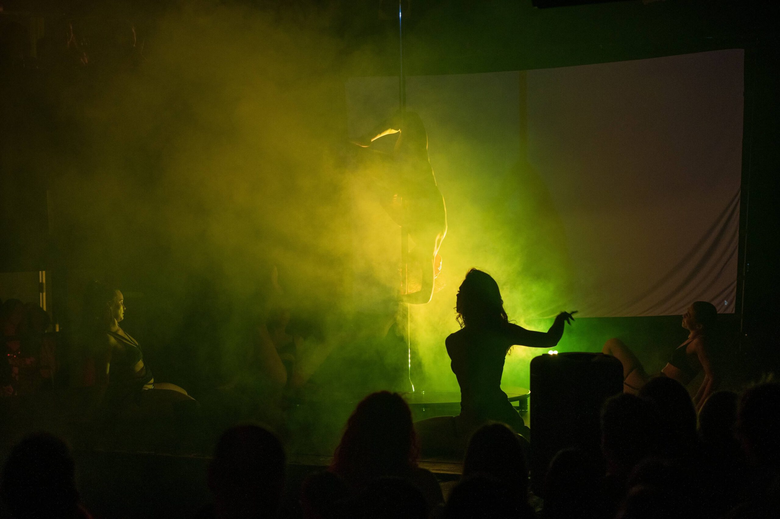 PoleCoven performers at Luminesque Burlesque, The Invitation